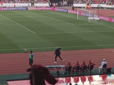 الناخب الوطني يتفاعل مع   سير سير سير 