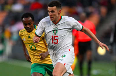 3 أسباب ساهمت في سقطة الأسود بجنوب إفريقيا