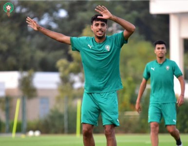 متى يظهر شادي رياض؟