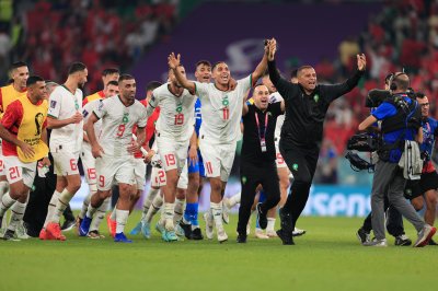 الأسود يلتقون الكونغو لأول مرة في تصفيات المونديال