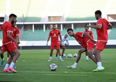 هل يلعب الأسود في فرنسا؟