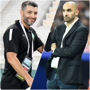 الركراكي والشرعي يستفيدان من بعضهما البعض