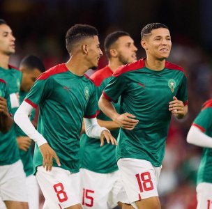 حارث أكثر الأسود الذين عاندهم الحظ