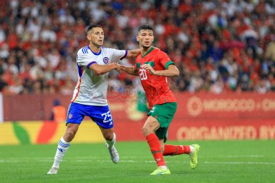 رقم قياسي: 12 أسدا موندياليا خارج الخدمة؟