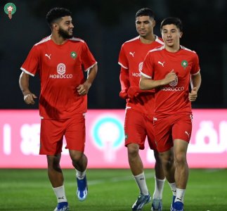 وسط ميدان الأسود مثالي حتى لو غاب أوناحي وأملاح