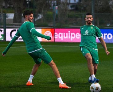 عاجل ..إلغاء ودية الأسود وغامبيا وودية جديدة بسان بيدرو