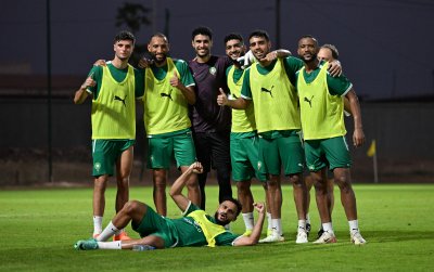 11 أسدا لم يظهروا في  الكان  بعد