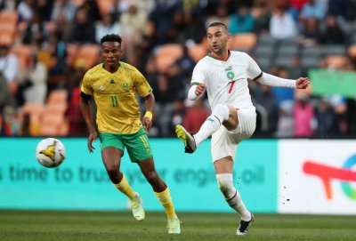 13 أسدا لن يتواجدوا أمام جنوب إفريقيا