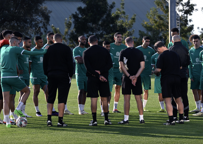 11 أسدا في المعسكر التدريبي للأسود أكثر تنافسية من غيرهم