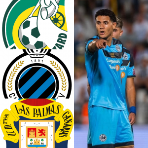 أيمن الوافي معروض على ثلاثة أندية أوروبية