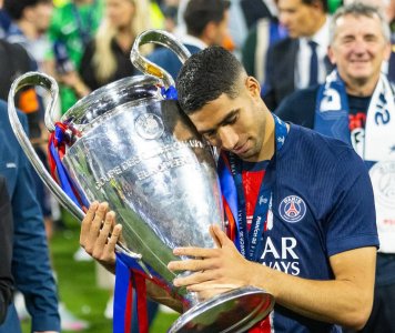 7 أسود في  الطوب  قبل مواجهة النسور والسناجب