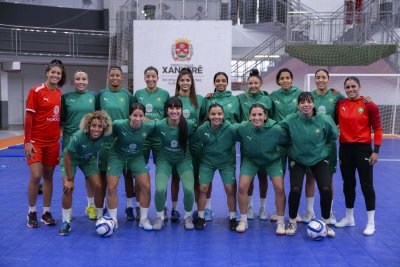 المنتخب البرازيلي يقسو على اللبؤات بالثمانية المنتخب البرازيلي يقسو على اللبؤات بالثمانية