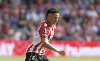 دليلك لمشاهدة أسود أوروبا