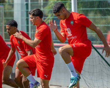 الأسود يتدربون أمام وسائل الإعلام