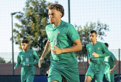 أي دور للعيناوي في مباراة النيجر؟