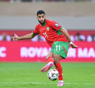 أرقام صيباري مرعبة