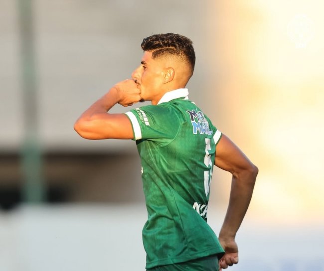 البطولة الاحترافية: منتخب الدورة الأولى