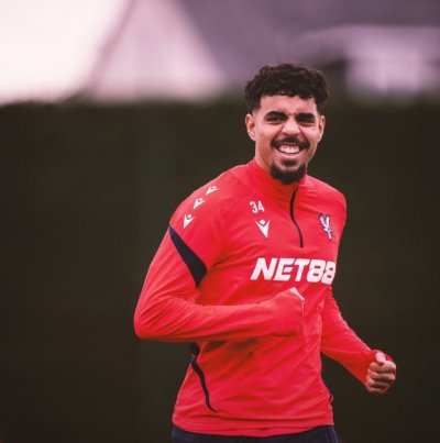 شادي رياض يعود لتعزيز مجموعة كريسطال بالاس