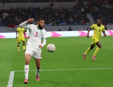 تقييم أداء دفاع الأسود أمام موزمبيق