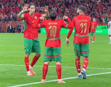 الأسود متقدمون على على مالي بهدف ابراهيم