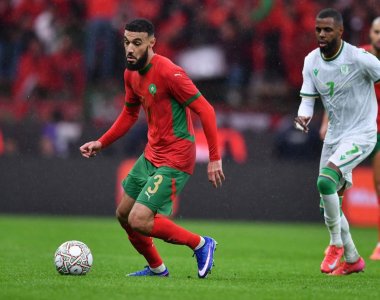 أسدان في التشكيلة المثالية لدور المجموعات