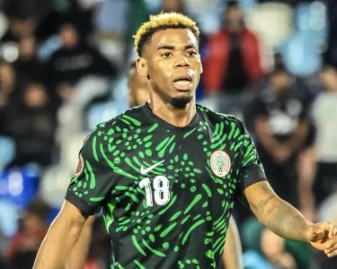 هذا هو بديل الموقوف نديدي