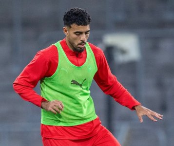 شادي رياض في المحك لفرض نفسه بقوة على وهبي
