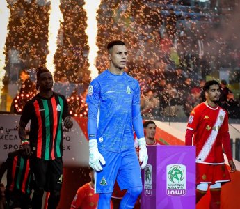 ورطة البطولة وتعيين سفراء الأدغال الإفريقبة