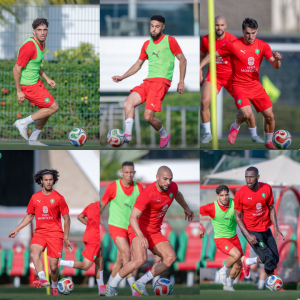 أجواء إيجابية في معسكر المنتخب وعلي  معمر  يظهر مع الأسود