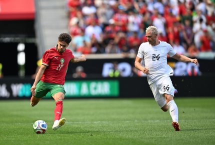 5 أسود مهددون بالغياب أمام البرازيل
